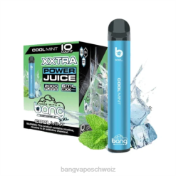 4X0J16 Bang Vape XXL 2000 Züge - Vape Gang flavors frische Minze