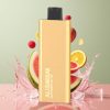 Alibarbar Pandora 7000 Puffs Einweg-Vape Wassermelone Eis – 17 ml, 1.0 Ohm, Schweiz Großhandel