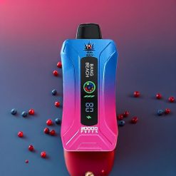 Bang Beach 20000 Puffs Einweg-Vape Blaubeere Himbeere - 35ml, 650mAh, Schweiz Großhandel