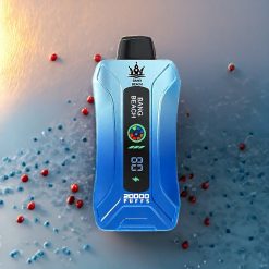 Bang Beach 20000 Puffs Einweg-Vape Blue Razz Ice – 35ml, 650mAh, 0-5% Nikotin, Schweiz Großhandel