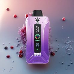 Bang Beach 20000 Puffs Einweg-Vape Grape Ice (35ml, 650mAh, 0-5% Nikotin) Schweiz Großhandel