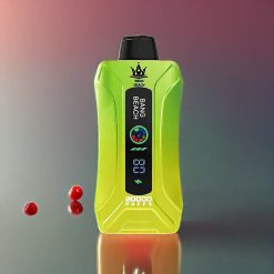 Bang Beach 20000 Puffs Schweiz Großhandel – 35ml E-Liquid, 650mAh Akku, 0-5% Nikotin, Smart Display
