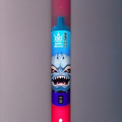 Bang Beach 22000 Puffs Einweg-Vape Blaubeere Himbeere – 36ml, 650mAh, Schweiz großhandel