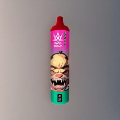 Bang Beach 22000 Puffs Einweg-Vape Erdbeer-Eis – 36ml, 650mAh, Schweiz Großhandel