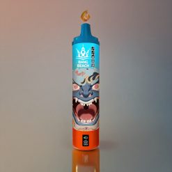 Bang Beach 22000 Puffs Einweg-Vape Pfirsich Mango - 36ml, 650mAh, 0-5% Nikotin - Schweiz Großhandel