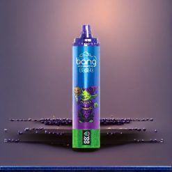 Bang Blaze Tornado 20000 Puffs Einweg-Vape Blaubeere Traube – 20000 Puffs, Typ-C-Ladeanschluss, Schweiz Großhandel