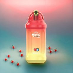 Bang King 12000 Puffs Einweg-Vape Wassermelone-Eis, 23ml, 650 mAh, Schweiz großhandel