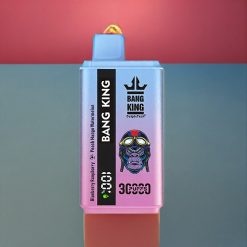 Bang King 30000 Puffs Einweg-Vape Blaubeere Himbeere Pfirsich Mango Wassermelone – 30.000 Züge, 36ml, 550mAh, Schweiz Großhandel