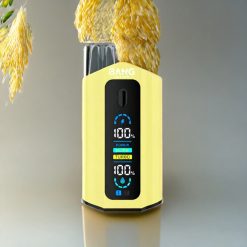 Bang Leader 50000 Puffs Einweg-Vape Ananas Maracuja Ananas Eis – 50000 Puffs, 36ml, Typ-C, Schweiz Großhandel