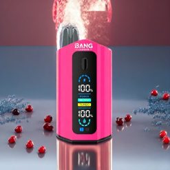 Bang Leader 50000 Puffs Einweg-Vape Blueberry Himbeere Limonade Erdbeere Himbeere Cherry Eis – 50000 Puffs, 13400mAh, 36ml, Schweiz Großhandel