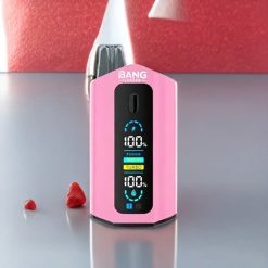 Bang Leader 50000 Puffs Einweg-Vape Erdbeer-Kiwi Erdbeer-Eis – 50000 Züge, 36ml E-Liquid, 13400mAh, Schweiz Großhandel