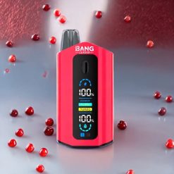 Bang Leader 50000 Puffs Einweg-Vape Erdbeere Himbeere Kirsche Eis – 50000 Puffs, 13400mAh, 36ml, Schweiz Großhandel