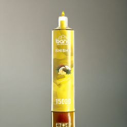 Bang Shisha 15000 Puffs Einweg-Vape Ananas Kokos - 23ml E-Liquid, 600mAh Akku, Typ-C Ladung, Schweiz Großhandel