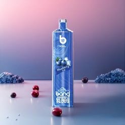 Bang Shisha 15000 Puffs Einweg-Vape Blueberry-Eis (23ml E-Liquid, Typ-C Ladung, 600mAh Akku) Schweiz Großhandel