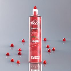 Bang Shisha 15000 Puffs Einweg-Vape Erdbeer-Eis - 23ml E-Liquid, Typ-C-Ladung, 600mAh Akku, Schweiz Großhandel
