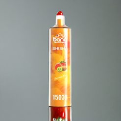 Bang Shisha 15000 Puffs Einweg-Vape Erdbeer-Kiwi – 23ml E-Liquid, Typ-C-Ladung, 600mAh Akku, Schweiz Großhandel