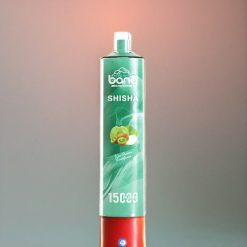 Bang Shisha 15000 Puffs Einweg-Vape Kiwi Passionsfrucht Guave - 23ml E-Liquid, Typ-C-Ladung, 600mAh für Schweiz Großhandel