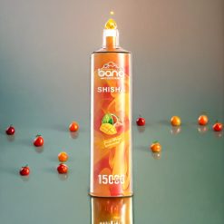 Bang Shisha 15000 Puffs Einweg-Vape Pfirsich Mango Wassermelone – 23ml E-Liquid, Typ-C-Ladung, 600mAh Akku, Schweiz Großhandel