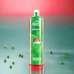 Bang Shisha 15000 Puffs Einweg-Vape Wassermelone Eis – Schweiz Großhandel, 23ml E-Liquid, Typ-C-Ladung, 600mAh