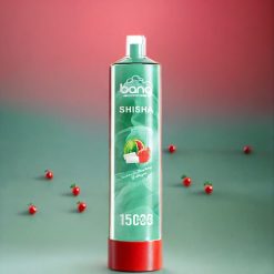 Bang Shisha 15000 Puffs Einweg-Vape Wassermelone Erdbeere Bubblegum – 23ml E-Liquid, Typ-C-Ladung, 600mAh, Schweiz Großhandel