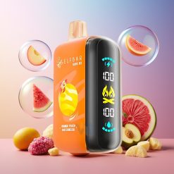 ELF BAR RAYA D3 25000 Puffs Einweg-Vape Mango Pfirsich Wassermelone 23ml 5% Schweiz Großhandel