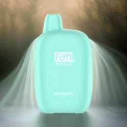 Flum Pebble 6000 Spearmint Schweiz Großhandel – 10ml, 5% Nikotin, 500mAh