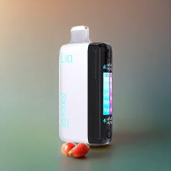 IJOY LIO SS40000 Einweg-Vape Minze - 40000 Züge, 22ML, 1100 mAh, Schweiz Großhandel