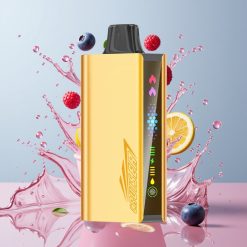 JNR Cruiser 12000 Puffs No-Charge Einweg-Vape Blaubeergeschmack mit 3500 mAh Akku, 25ml E-Liquid und Dual Mesh Coil – Schweiz Großhandel