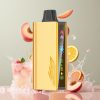 JNR Cruiser 12000 Puffs No-Charge Einweg-Vape Pfirsich-Eis – 3500 mAh Akku, 25ml E-Liquid, 1.2ohm Dual Mesh Coil, Schweiz Großhandel