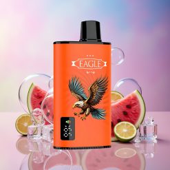 JNR EAGLE Smart 23000 Puffs Einweg-Vape Wassermelone Eis – Digital Screen, 1.0ohm Mesh Coil, 750mAh, Schweiz großhandel