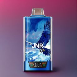 JNR Falcon Pro 28000 Schweiz Großhandel – 28000 Puffs, 30ml E-Liquid, Dual Mesh Coil, Heidelbeere-Sauer-Himbeere