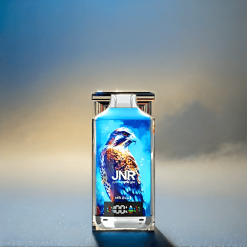 JNR Falcon X 18000 Puffs Schweiz Großhandel – 24ml, Dual Mesh Coil, Digital Display, Mr. Blue