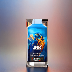 JNR Falcon X 18000 Puffs Schweiz Großhandel – 24ml E-Liquid, 750mAh, Typ-C Ladung, Blaubeere Himbeere Kirsche