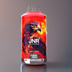 JNR Falcon X⁺ 28000 mit sichtbarem E-Liquid-Stand, 950mAh Akku, Typ-C-Ladung, Peach Berry Geschmack – Schweiz großhandel