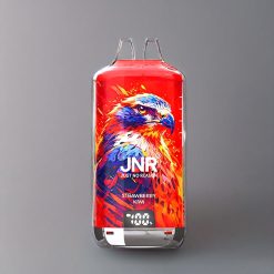 JNR Falcon X⁺ 28000 Schweiz Großhandel mit sichtbarem E-Liquid-Stand, 28000 Züge, 950mAh Akku, Typ-C-Ladeanschluss & Erdbeer-Kiwi Geschmack