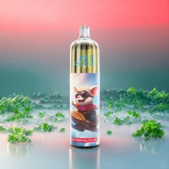 JNR Rocket X 12400 Puffs Wassermelone Eis – Kompakt, RGB-Lichter, 850mAh, Schweiz Großhandel