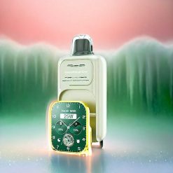 JNR Vape Watch 30000 Puffs 1000mAh Dual Mesh Coil Schweiz Großhandel Watermelon Eis