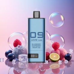 Lavie Cube 20000 Puffs Einweg-Vape Heidelbeere Himbeere Traube Eis – 28ML, 600mAh, Type C Schweiz Großhandel