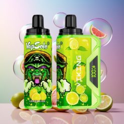 VapSolo VIKING 12000 Puffs Wegwerf-Vape Zitrone Limette Schweiz Großhandel – 22ml, 20/50 mg/ml, Typ-C