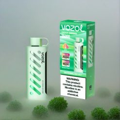 VOZOL Gear Shisha 25000 Puffs Schweiz Großhandel – 30 Geschmacksrichtungen, Dual Mesh Dual Modes, 1000mAh – Watermelon Mint (Wassermelone Minze)